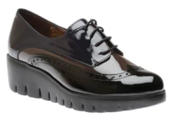 Wonders C3350 Char Navy Pat