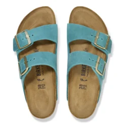Birkenstock Arizona Oiled Biscay -Fashion Shoe Store birarizonaoil03b