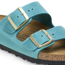 Birkenstock Arizona Oiled Biscay -Fashion Shoe Store birarizonaoil03e