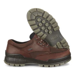 ECCO Men's Track 25 Bison Brown Leather Gore-Tex Waterproof Shoe